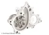 Wasserpumpe, Motorkühlung BLUE PRINT ADBP910029 Bild Wasserpumpe, Motorkühlung BLUE PRINT ADBP910029