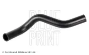 Kühlerschlauch unten BLUE PRINT ADBP930005