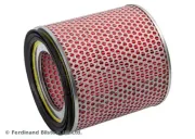 Luftfilter BLUE PRINT ADD62210