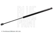 Gasfeder, Koffer-/Laderaum BLUE PRINT ADG05849