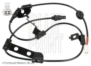 Sensor, Raddrehzahl Hinterachse rechts BLUE PRINT ADG071119