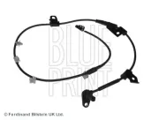 Sensor, Raddrehzahl Vorderachse rechts BLUE PRINT ADG07152