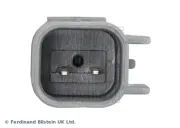 Lagerung, Lenker Hinterachse links unten außen hinten Hinterachse rechts innen BLUE PRINT ADG080205