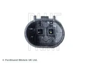 Lagerung, Motor rechts BLUE PRINT ADG080290