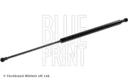 Gasfeder, Koffer-/Laderaum BLUE PRINT ADK85802