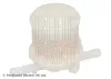 Kraftstofffilter BLUE PRINT ADM52301