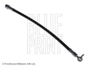 Bremsschlauch Vorderachse rechts BLUE PRINT ADM553109