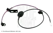 Sensor, Raddrehzahl Hinterachse links Hinterachse rechts BLUE PRINT ADM57125