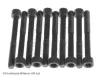 Zylinderkopfschraubensatz BLUE PRINT ADM57802C