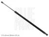Gasfeder, Koffer-/Laderaum BLUE PRINT ADN15814
