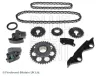Steuerkettensatz BLUE PRINT ADN173504C