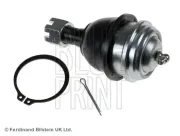 Trag-/Führungsgelenk Vorderachse links unten Vorderachse rechts BLUE PRINT ADN186127