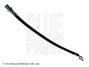 Bremsschlauch Vorderachse links Vorderachse rechts BLUE PRINT ADT353256