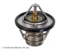 Thermostat, K&uuml;hlmittel BLUE PRINT ADT39208