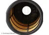 Luftfilter BLUE PRINT ADV182250 Bild Luftfilter BLUE PRINT ADV182250