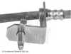 Bremsschlauch Vorderachse rechts BLUE PRINT ADZ95343 Bild Bremsschlauch Vorderachse rechts BLUE PRINT ADZ95343