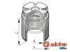 Kolben, Bremssattel Hinterachse AUTOFREN SEINSA D025124