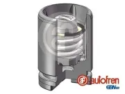 Kolben, Bremssattel Hinterachse AUTOFREN SEINSA D025233K