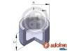 Kolben, Bremssattel Hinterachse AUTOFREN SEINSA D025475