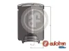 Kolben, Bremssattel Hinterachse AUTOFREN SEINSA D025583
