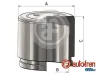 Kolben, Bremssattel Hinterachse AUTOFREN SEINSA D025699