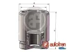 Kolben, Bremssattel Hinterachse AUTOFREN SEINSA D025748