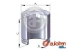 Kolben, Bremssattel Hinterachse AUTOFREN SEINSA D025816