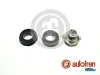 Reparatursatz, Hauptbremszylinder AUTOFREN SEINSA D1101