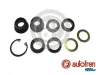 Reparatursatz, Hauptbremszylinder AUTOFREN SEINSA D11144