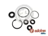 Reparatursatz, Hauptbremszylinder AUTOFREN SEINSA D1263