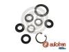 Reparatursatz, Hauptbremszylinder AUTOFREN SEINSA D1416