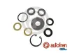 Reparatursatz, Hauptbremszylinder AUTOFREN SEINSA D1513