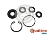 Reparatursatz, Hauptbremszylinder AUTOFREN SEINSA D1543