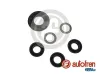 Reparatursatz, Hauptbremszylinder AUTOFREN SEINSA D1700