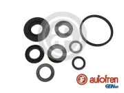 Reparatursatz, Hauptbremszylinder AUTOFREN SEINSA D1748