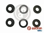 Reparatursatz, Hauptbremszylinder AUTOFREN SEINSA D1851