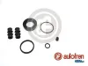 Reparatursatz, Bremssattel Hinterachse AUTOFREN SEINSA D41648