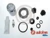 Reparatursatz, Bremssattel Hinterachse AUTOFREN SEINSA D42500C