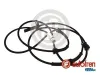 Sensor, Raddrehzahl Hinterachse links AUTOFREN SEINSA DS0155