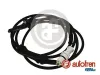 Sensor, Raddrehzahl Hinterachse rechts AUTOFREN SEINSA DS0156