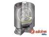 Kolben, Bremssattel Hinterachse AUTOFREN SEINSA D02523K