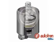 Kolben, Bremssattel Hinterachse AUTOFREN SEINSA D025267K