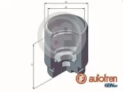 Kolben, Bremssattel Hinterachse AUTOFREN SEINSA D025293