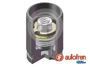 Kolben, Bremssattel Hinterachse AUTOFREN SEINSA D025340K