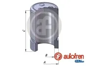 Kolben, Bremssattel Hinterachse AUTOFREN SEINSA D025343