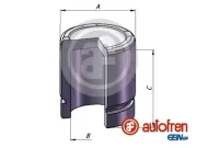 Kolben, Bremssattel Hinterachse AUTOFREN SEINSA D025357