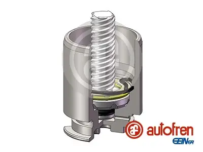 Kolben, Bremssattel Hinterachse AUTOFREN SEINSA D025422RK