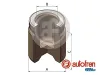 Kolben, Bremssattel Hinterachse AUTOFREN SEINSA D025428