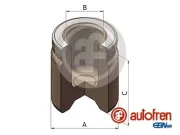 Kolben, Bremssattel Hinterachse AUTOFREN SEINSA D025428