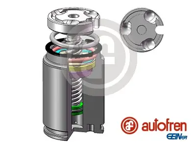 Kolben, Bremssattel Hinterachse AUTOFREN SEINSA D02545LK